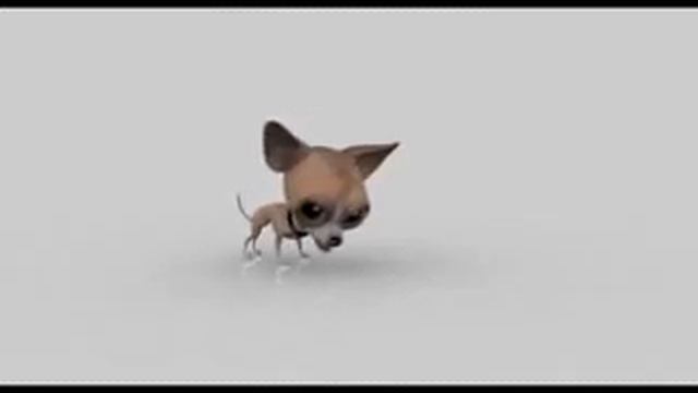 Chihuahua смотреть онлайн