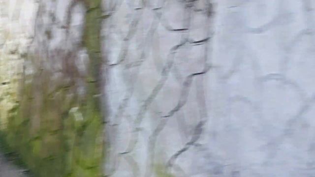 Тигренок Пупсик освоился и вышел на охоту.Новогодние новости из парка львов"Прайд"Абхазия. 01.2023 смотреть онлайн