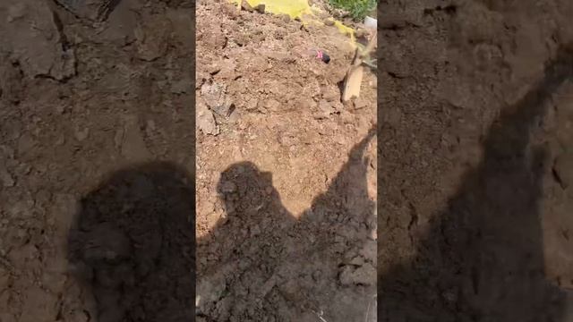 Септик 3 кольца смотреть онлайн