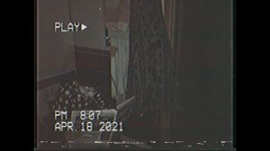 Пять ночей со снюсоедом