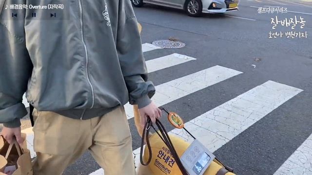 안내견다큐 레전드 - 호연아 병원 가자 смотреть онлайн