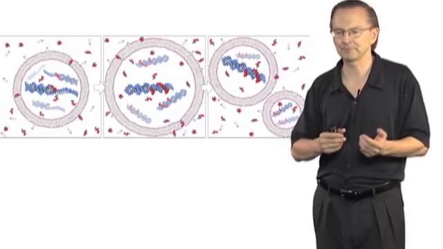 Jack Szostak (Harvard/HHMI) Part 1: The Origin of Cellular Life on Earth смотреть онлайн