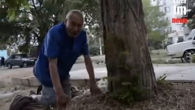 Бомж в Керчи живет под деревом на картонке несколько лет смотреть онлайн