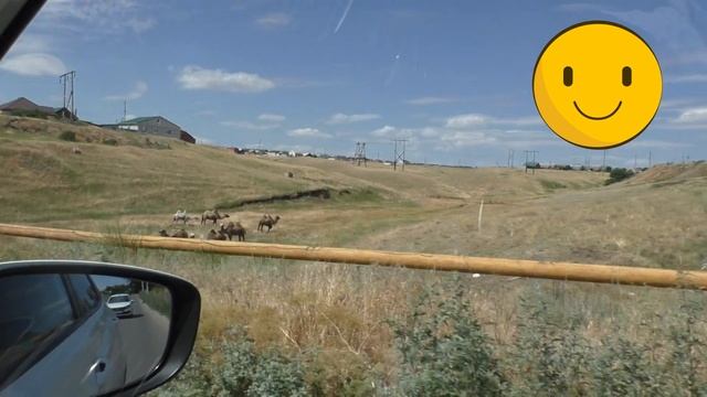 Из Волгограда в Пятигорск через Элисту - на машине смотреть онлайн