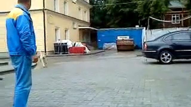 Роксана гоняет воробьев и голубей смотреть онлайн
