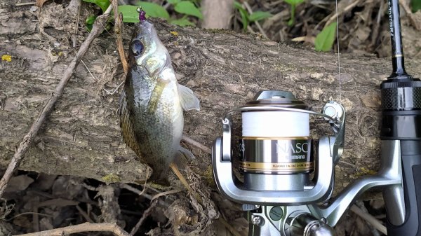 Тестирование FS Fario MORM-S FM602XUL-S-H4G4Fj.mp4