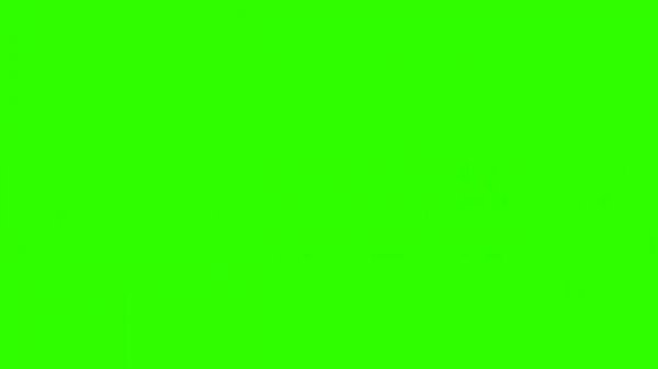 animation animal escape green screen