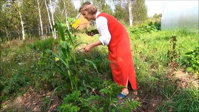 ЖЕНА — БОГИНЯ на www.anastasia.ru/social — ТАМАРА смотреть онлайн
