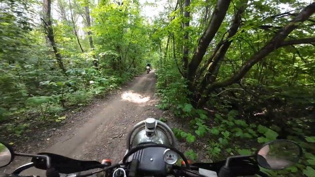 Suzuki Djebel 250 в лесу смотреть онлайн