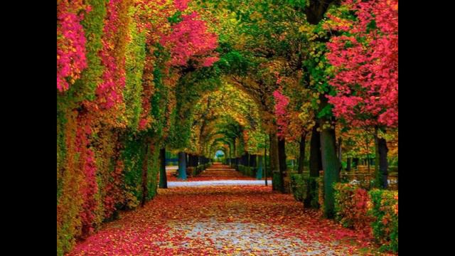 14 SDCF 02 20 1983 Oliver's comments on Family, Quartets, Music and the Service thus far смотреть онлайн