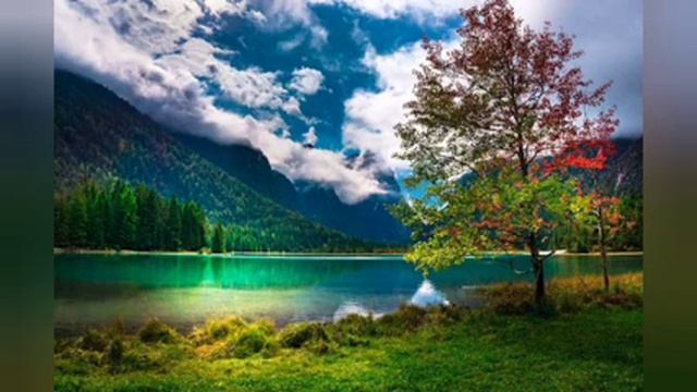 Музыка для сна. Релакс. Лечебная музыка для засыпания. #музыкадля сна #лечебнаямузыка #релакс #сон