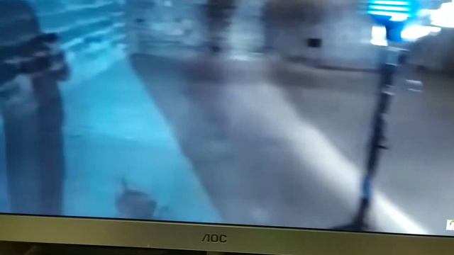 Моя реакция на то как делся клип я майнкрафтер шадоу приесток и фирамир.