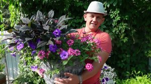 Огромные шапки петунии! Обзор наших композиций в июле.