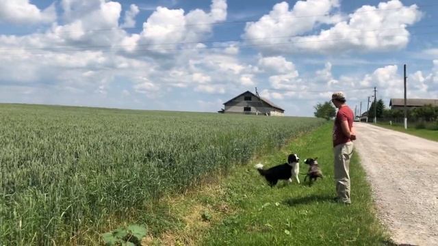 304. Зло, обитающее в траве или почему нельзя трогать Прайма когда он занят)) смотреть онлайн