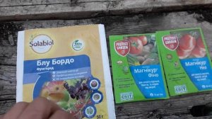 ФИТОФТОРА НА КАРТОФЕЛЕ!!!ЧТО ДЕЛАТЬ?