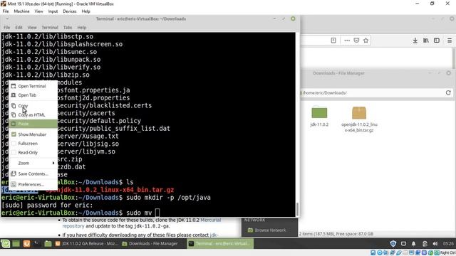 Install OpenJDK on Linux Mint смотреть онлайн