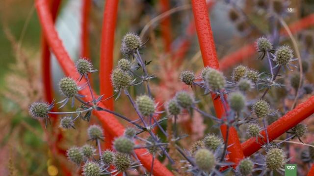 Обзор сада «Взрослые игры». Сады и люди 2020. смотреть онлайн