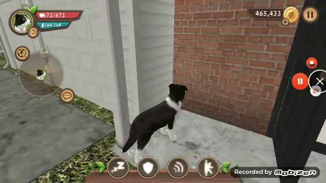Dog Sim Ребят сорри мало времени(( Потому что места нет скажите как исправить( смотреть онлайн