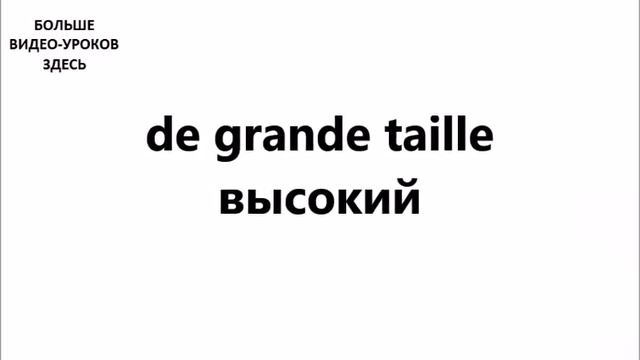 ФРАНЦУЗСКИЙ ЯЗЫК. СЛОВАРЬ ПО ТЕМАМ. МУЖЧИНА и ЖЕНЩИНА смотреть онлайн