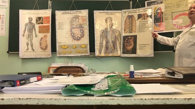 Лимфатическая система смотреть онлайн