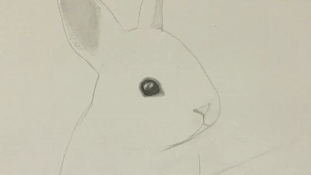 How to draw a bunny easy for beginners || Rabbit drawing tutorial || Pencil drawing Part 2 смотреть онлайн