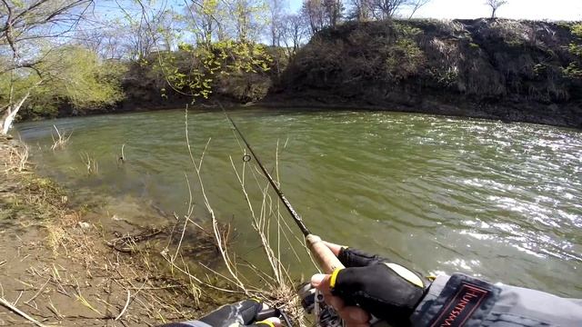 Наконец-то сима! смотреть онлайн