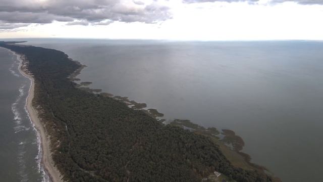 Куршская коса вид с поселка Лесное в сторону Литовской границы, Калининградская область смотреть онлайн