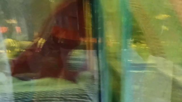 Понеслось... работы очень много смотреть онлайн