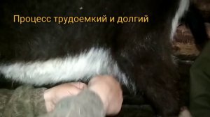 Шприц от мастита. Лечение мастита. Как вводится шприц в сосок.