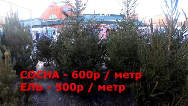 Покупаем ёлку: сколько стоит новогоднее настроение? смотреть онлайн