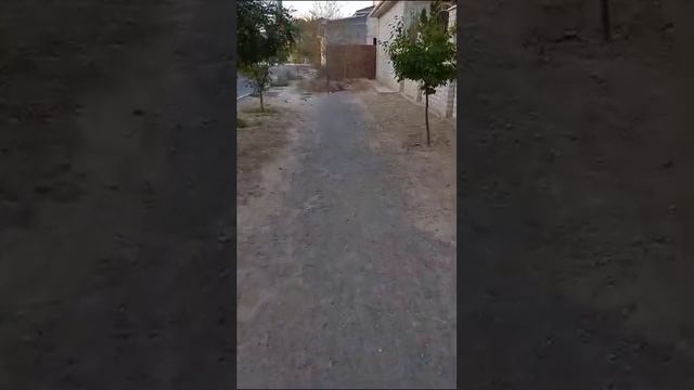 Самозахват улиц частными домами в Актау смотреть онлайн