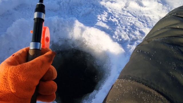 Ловим Сига на подпуска смотреть онлайн