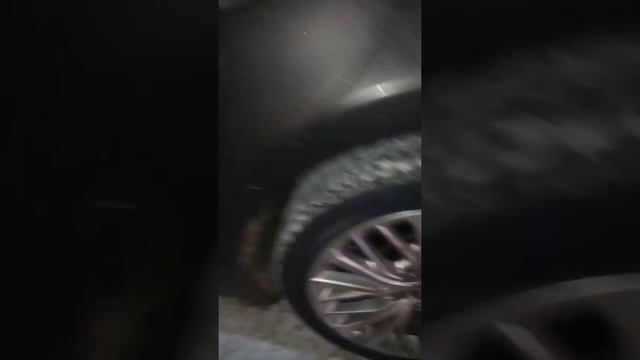 Sailun Winterpro SW61 на Камри ха-ха