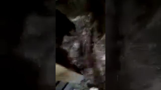 Использование Байкал ЭМ и Сияние для теплой подстилки для кур смотреть онлайн