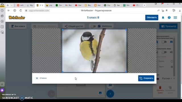 Работа по созданию книг на WriteReader смотреть онлайн