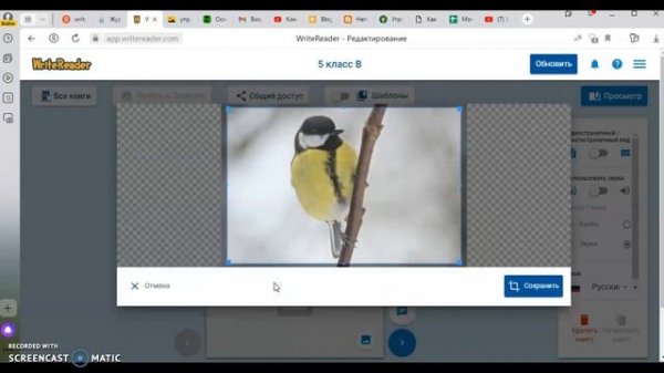 Работа по созданию книг на WriteReader