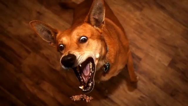 Самые красивые мелодии и видео онлайн смотреть онлайн