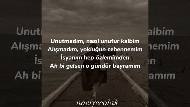 Kolpa & Yaprak Çamlıca - Unutmadım (speed up)🎧 смотреть онлайн