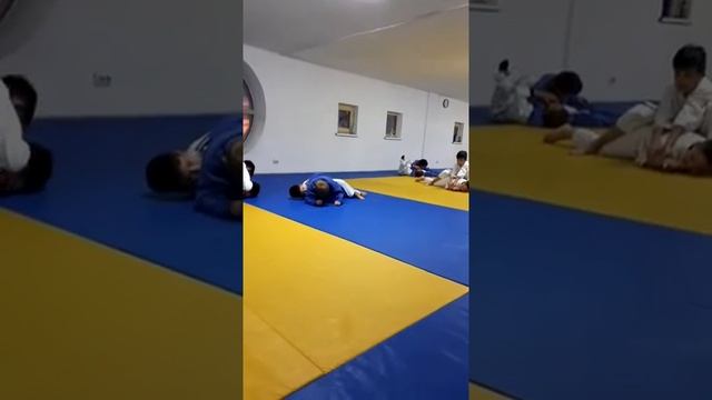 Дзюдо смотреть онлайн