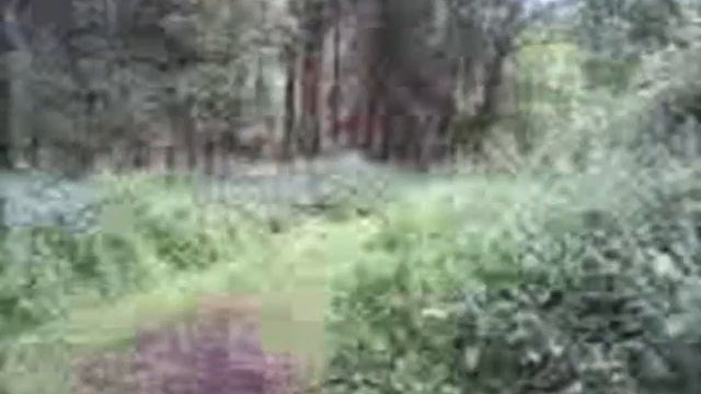 große jungs - rellivucion trailer 2009 смотреть онлайн