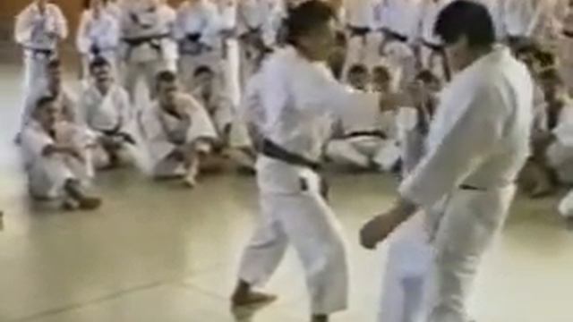 WADO RYU KARATE DVD by Teruo Kono sensei смотреть онлайн