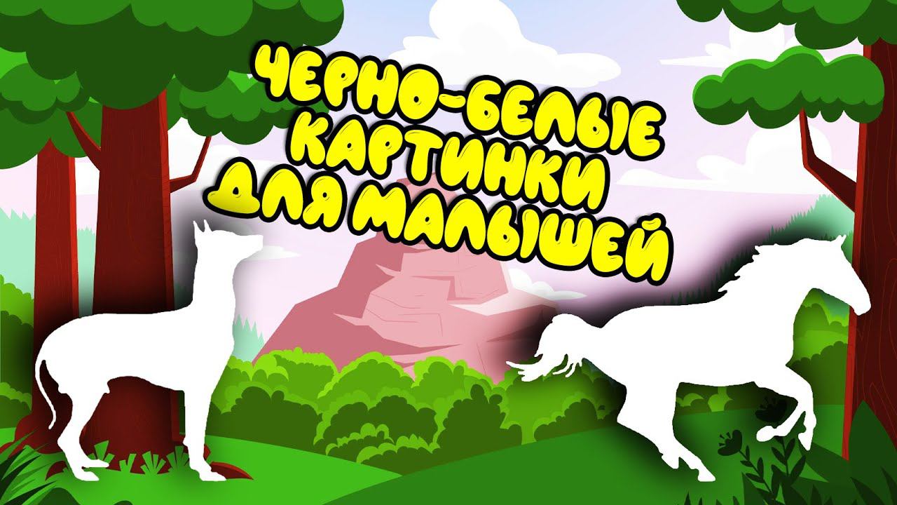 Черно-белые картинки для малышей. Первые черно-белые картинки для развития малыша. смотреть онлайн