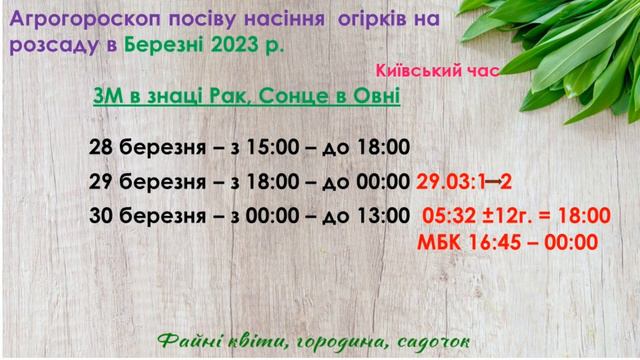 Коли посіяти насіння огірків на розсаду в березні 2023 року?