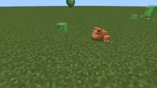 Minecraft wild update - Frogs eat tiny slimes?????? смотреть онлайн