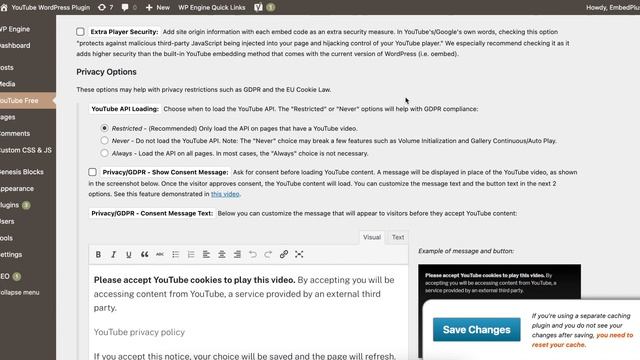YouTube WordPress Plugin смотреть онлайн