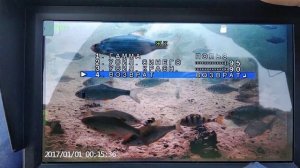 Настройки osd меню на чистом водоеме