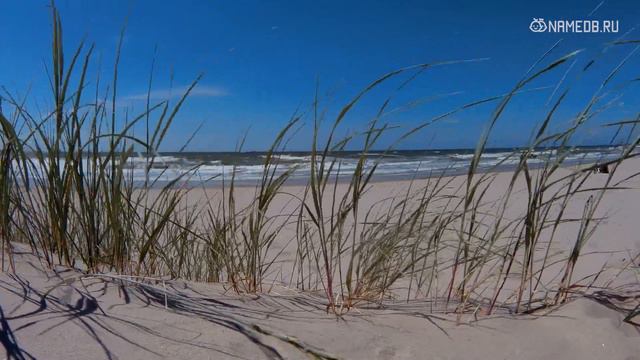 Самые жестокие знаки Зодиака смотреть онлайн