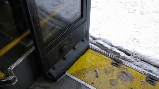 "Аквариум" в двери автобуса (Санкт-Петербург) смотреть онлайн