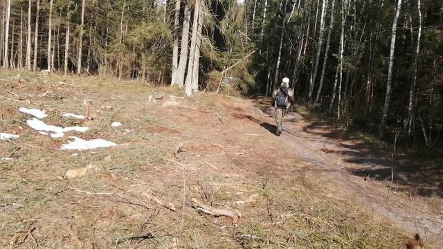 Двойная удача! Нашёл рог оленя и клыки сякача, поиск рогов оленя, zrzuty 2021 смотреть онлайн