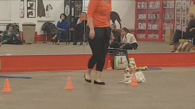 Кристина и Царь Салтан смотреть онлайн